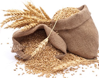 З початку сезону експортовано понад 10 млн тонн зерна